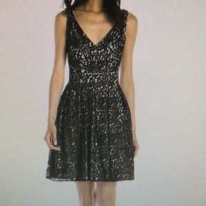 Black Lace Betsey Johnson Dress